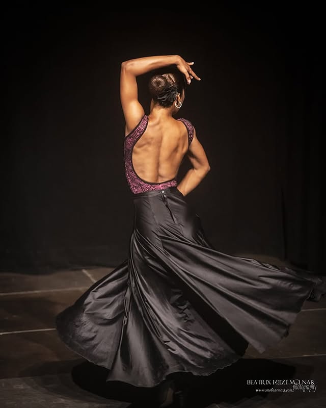 Solo flamenco en escena